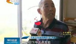 井陉最新新闻爆料,事件详情即将揭晓