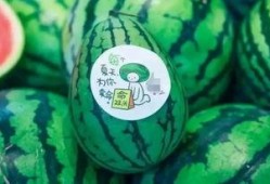 新瓜最新爆料网红是谁,这位网红成最新热议焦点！