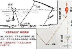 爆料鲢鳙钓法图解视频